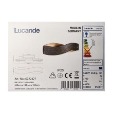 Lucande - LED Stenska svetilka LIAN LED/9W/230V