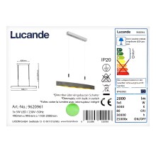 Lucande - LED Zatemnitveni lestenec na vrvici LIO 5xLED/5W/230V