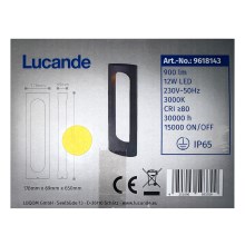 Lucande - LED Zunanja svetilka FENTI LED/12W/230V IP65