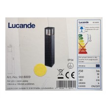 Lucande - LED Zunanja svetilka NICOLA LED/7W/230V IP54
