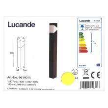 Lucande - Zunanja svetilka KARIN 1xE27/9W/230V IP44