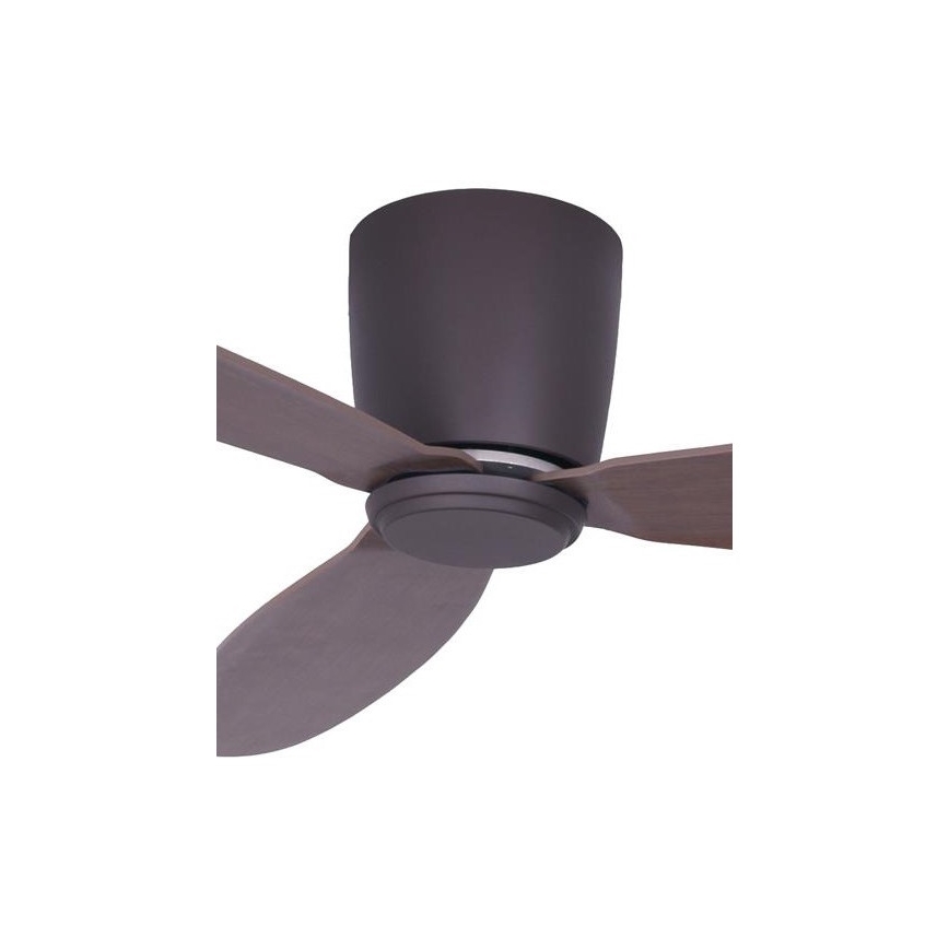 Lucci air 212883 - Stropni ventilator AIRFUSION RADAR les/rjava + Daljinski upravljalnik