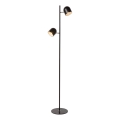 Lucide 03703/10/30 - LED Zatemnitvena stoječa svetilka SKANSKA-LED 2xLED/5W/230V