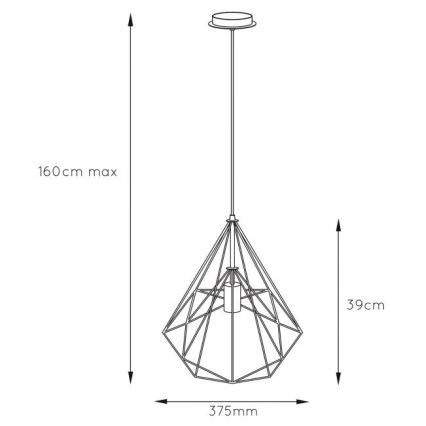 Lucide 06496/37/17 - Viseča svetilka RICKY 1xE27/60W/230V