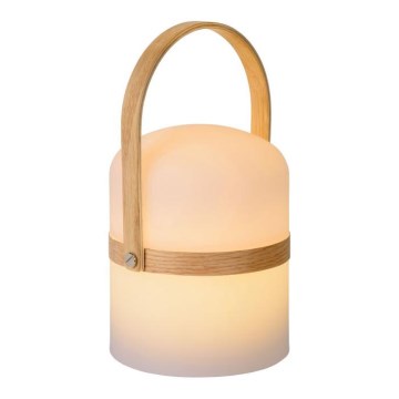 Lucide 06800/03/31 - LED Zatemnitvena zunanja svetilka JOE LED/3W/3,7V 680mAh IP44