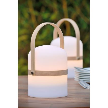 Lucide 06800/03/31 - LED Zatemnitvena zunanja svetilka JOE LED/3W/3,7V 680mAh IP44