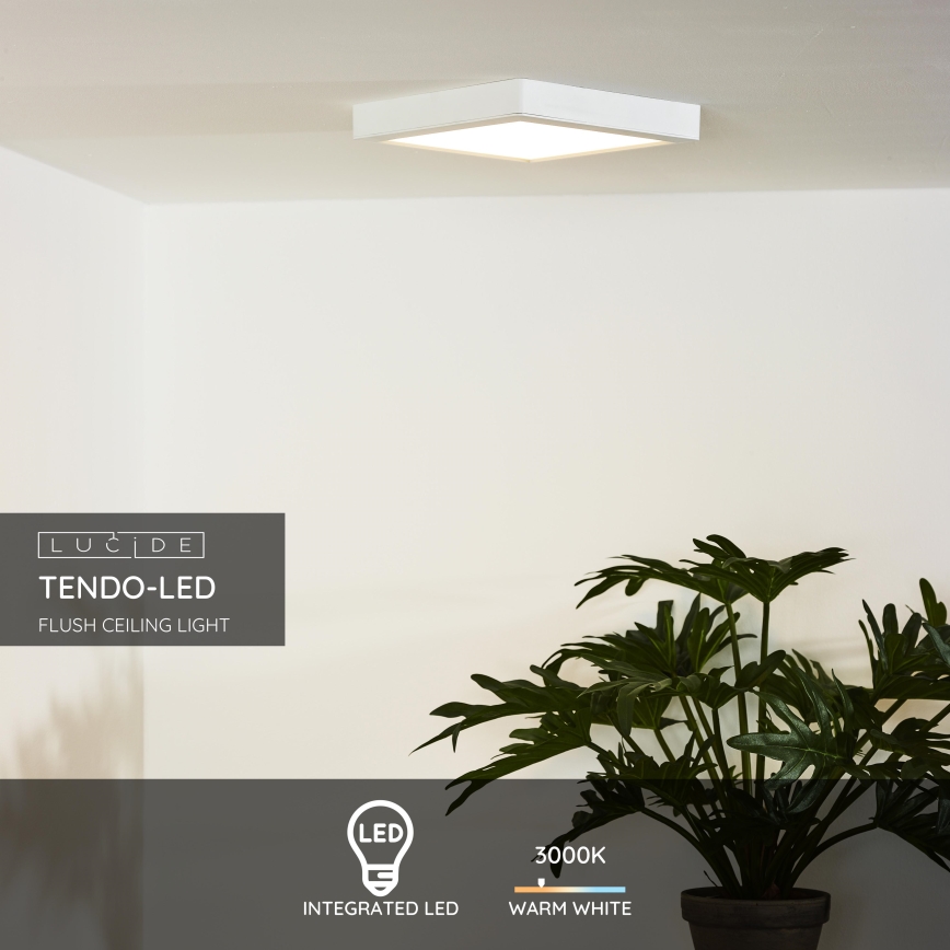 Lucide 07106/18/31 - Stropna svetilka TENDO-LED LED/18W/230V