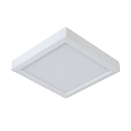 Lucide 07106/18/31 - Stropna svetilka TENDO-LED LED/18W/230V