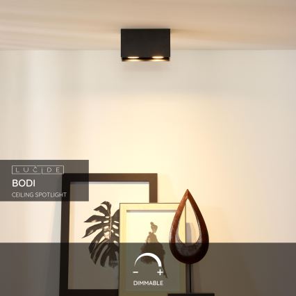 Lucide 09101/02/30 - Reflektor BODI 2xGU10/50W/230V