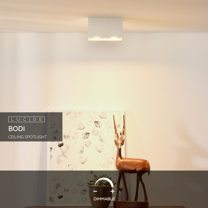 Lucide 09101/02/31 - Reflektor BODI 2xGU10/50W/230V