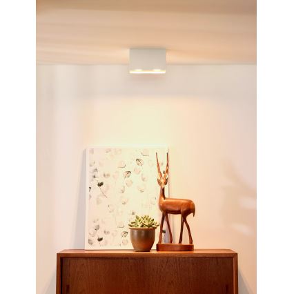 Lucide 09101/02/31 - Reflektor BODI 2xGU10/50W/230V