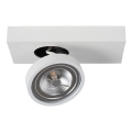 Lucide 09920/10/31 - LED Zatemnitveni reflektor NENAD AR111 1xG53/10W/230V