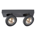 Lucide 09920/20/36 - LED Zatemnitveni reflektor NENAD AR111 2xG53/10W/230V
