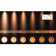 Lucide 09921/12/31 - LED Zatemnitveni reflektor FEDLER 1xGU10/12W/230V 2200-3000K CRI95 bel