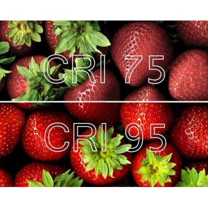 Lucide 09929/05/31 - LED Zatemnitveni reflektor NIGEL 1xGU10/5W/230V bel CRI 95