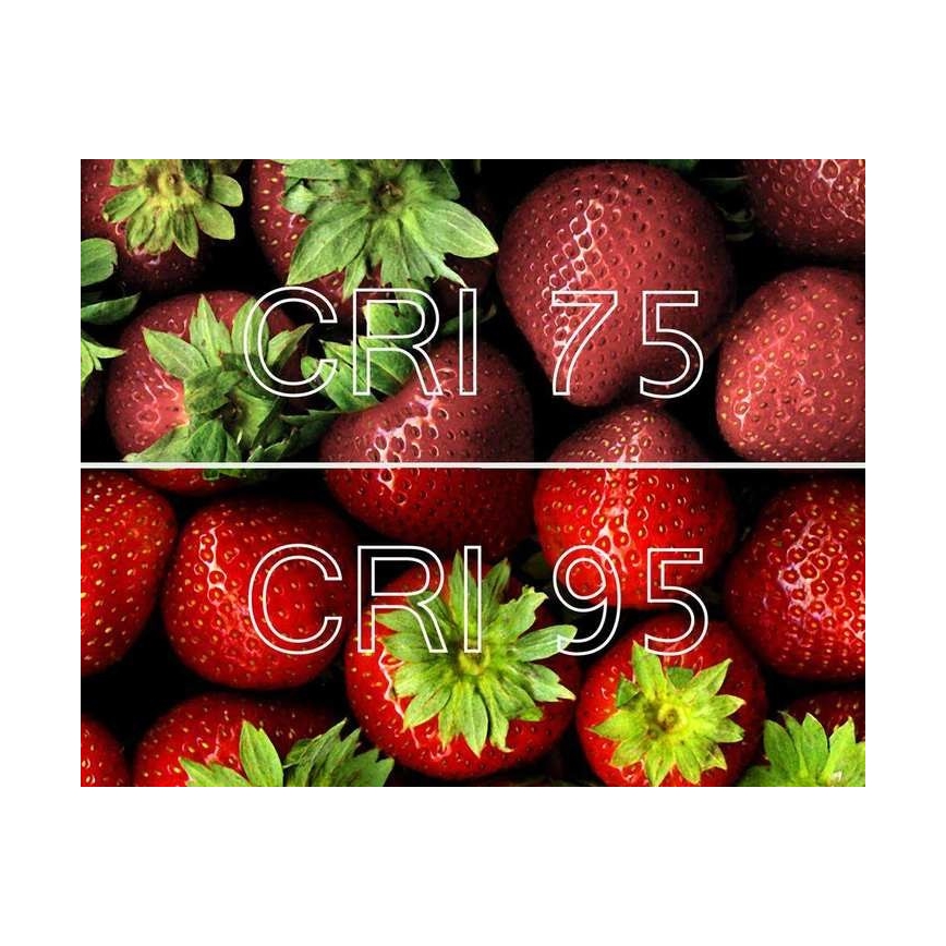 Lucide 09929/05/31 - LED Zatemnitveni reflektor NIGEL 1xGU10/5W/230V bel CRI 95