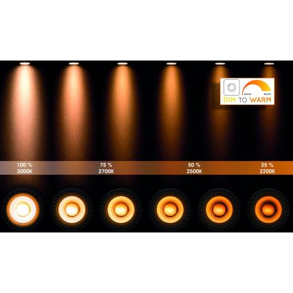 Lucide 09930/20/30 – LED Zatemnitveni reflektor TAYLOR 4×GU10/5W/230V IP44