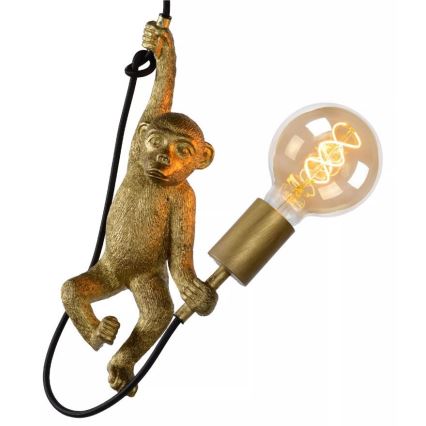 Lucide 10402/01/30 - Lestenec na vrvici EXTRAVAGANZA CHIMP 1xE27/60W/230V