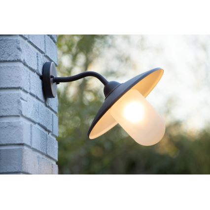 Lucide 11870/01/97 - Zunanja stenska svetilka ARUBA 1xE27/60W/230V IP44