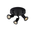 Lucide 11903/15/30 - LED reflektor JASTER-LED 3xGU10/5W/230V črn
