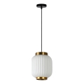 Lucide 13435/01/31 - Lestenec na vrvici GOSSE 1xE27/40W/230V