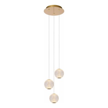 Lucide 13499/13/60 - LED Zatemnitveni lestenec na vrvici CINTRA 3xLED/4,7W/230V zlata