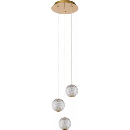 Lucide 13499/13/60 - LED Zatemnitveni lestenec na vrvici CINTRA 3xLED/4,7W/230V zlata