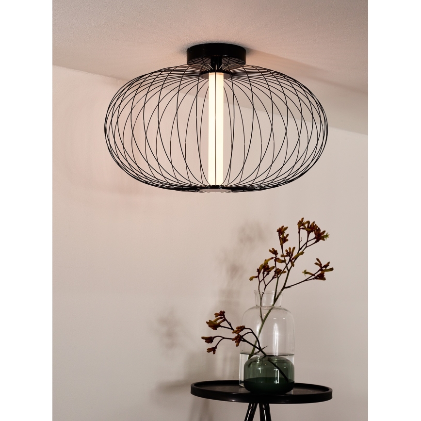 Lucide 20114/50/30 - LED Zatemnitvena stropna svetilka CARBONY LED/5W/230V