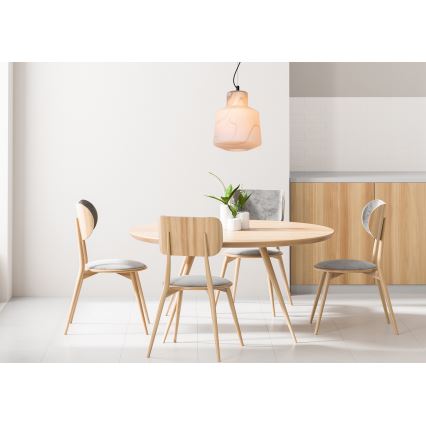 Lucide 20418/01/31 - Lestenec na vrvici ALISTAIR 1xE27/40W/230V