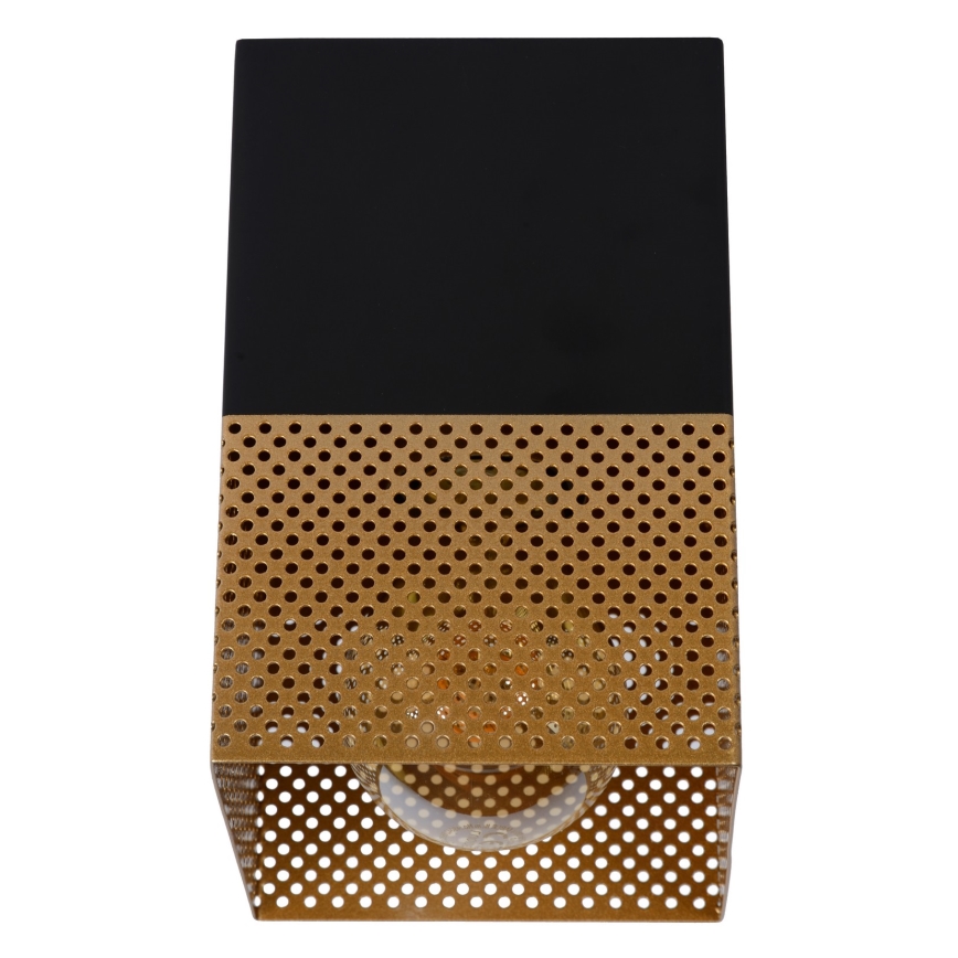 Lucide 21123/01/02 - Stropna svetilka RENATE 1xE27/40W/230V