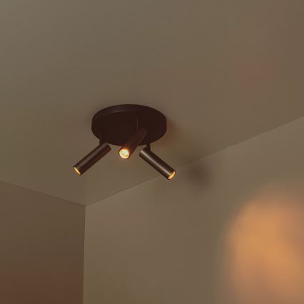 Lucide 22974/13/15 - Smerna svetilka GRADO 3xGU10/12W/230V rjava/črna