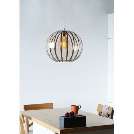 Lucide 25404/40/03 - Lestenec na vrvici TIMIUS 1xE27/60W/230V
