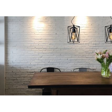 Lucide 25407/01/30 - Lestenec na vrvici FERN 1xE27/60W/230V