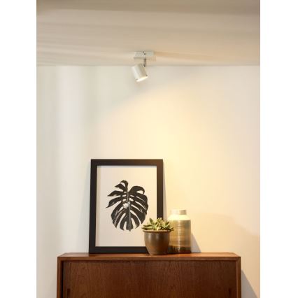 Lucide 26994/05/31 - LED Zatemnitveni reflektor RILOU 1xGU10/5W/230V