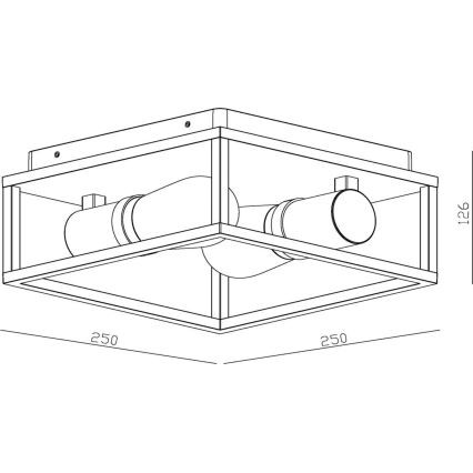 Lucide 27100/02/30 - Kopalniška stropna svetilka CARLYN 2xE14/6W/230V IP54 črna