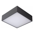 Lucide 27816/10/29 - LED Kopalniška stropna svetilka ROXANE LED/12W/230V 24x24 cm IP54 antracit
