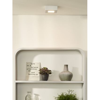 Lucide 28107/11/31 - LED Zatemnitvena stropna svetilka BRICE LED/8W/230V 10,8x10,8 cm