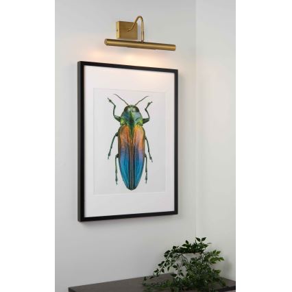 Lucide 45299/02/02 - Svetilka za slike VINZ 2xG9/28W/230V zlata