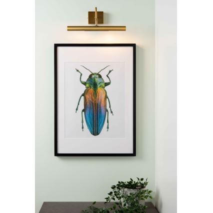 Lucide 45299/02/02 - Svetilka za slike VINZ 2xG9/28W/230V zlata