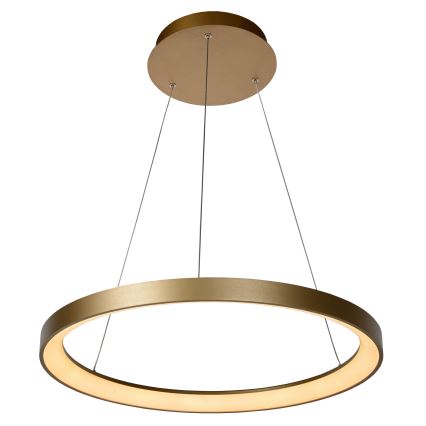 Lucide 46403/48/02 - LED Zatemnitveni lestenec na vrvici VIDAL LED/48W/230V pr. 58 cm zlata