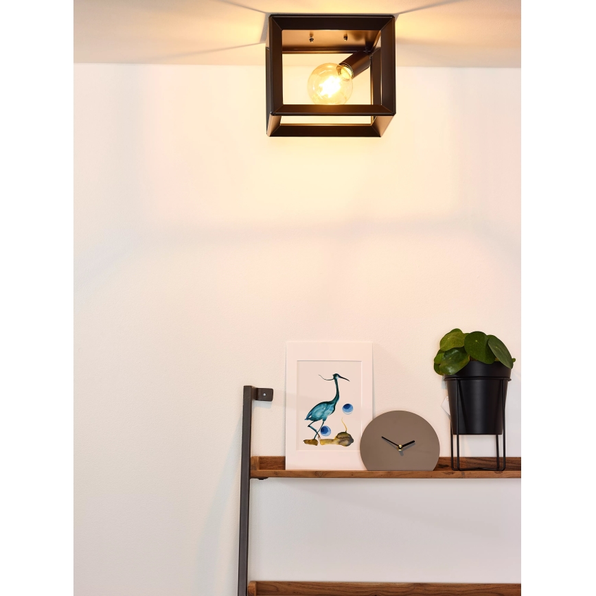 Lucide 73102/01/15 - Stropna svetilka THOR 1xE27/60W/230V