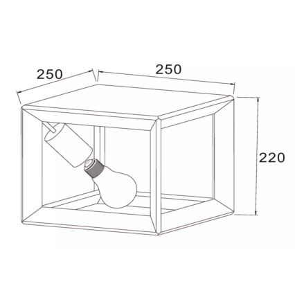Lucide 73102/01/15 - Stropna svetilka THOR 1xE27/60W/230V