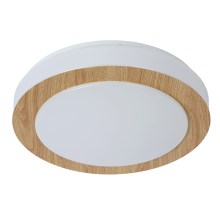 Lucide 79179/12/72 - LED Zatemnitven ceiling kopalnica svetel DIMY LED/12W/230V