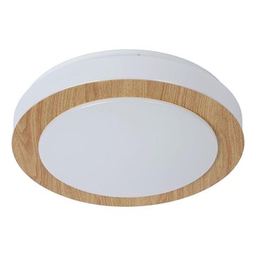 Lucide 79179/12/72 - LED Zatemnitven ceiling kopalnica svetel DIMY LED/12W/230V