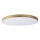 Lucide 79185/80/02 - LED Zatemnitvena stropna svetilka UNAR LED/80W/230V pr. 80 cm zlata