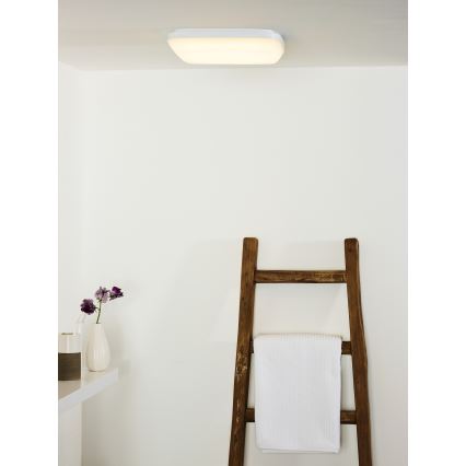 Lucide 79193/24/31 - LED Kopalniška svetilka TISIS LED/24W/230V IP54