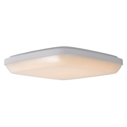 Lucide 79193/24/31 - LED Kopalniška svetilka TISIS LED/24W/230V IP54