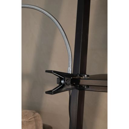 Markslöjd 106092 - LED Namizna svetilka s sponko TULIP LED/3W/230V črna
