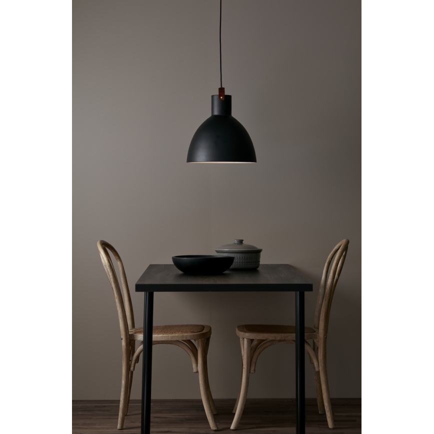 Markslöjd 106550 - Lestenec na vrvici EAGLE 1xE27/60W/230V