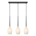 Markslöjd 106808 - Lestenec na vrvici SALUTE 3xE14/40W/230V